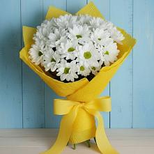 Букет цветов из:  Хризантемы #REPLACE_PRED# Болычево