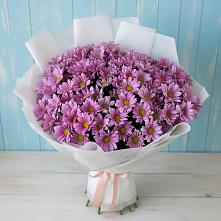 Букет цветов из:  Хризантемы в Болычево