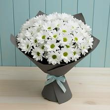 Букет цветов из:  Хризантемы в Болычево