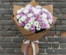 Букет цветов из:  Хризантемы #REPLACE_PRED# Болычево