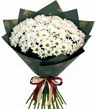 Букет цветов из:  Хризантемы в Болычево