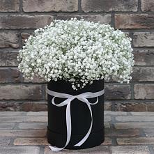 Цветочная композиция из Гипсофила в шляпной коробке в Болычево
